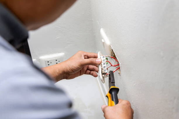 Best Electric Panel Repair  in Milton, WV